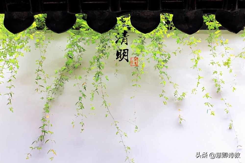 清明节，写作文不用愁！六篇优秀范文，敬请拿去