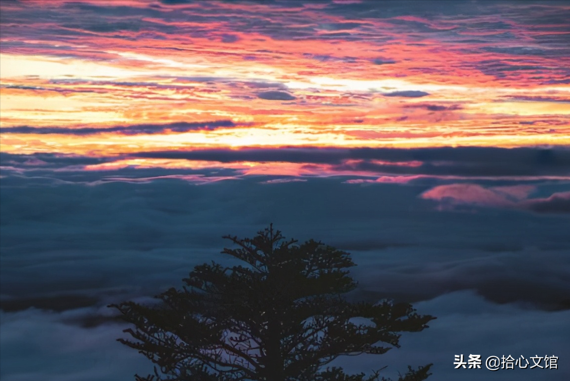 事与愿违，不过是另有安排