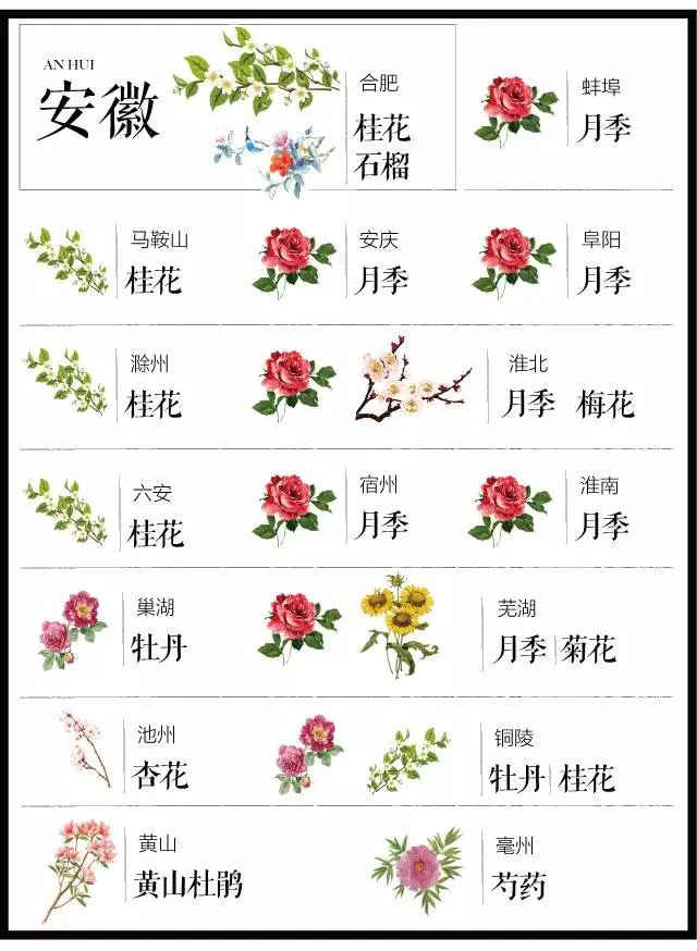 中国十大城市市花（史上最全中国各城市市花）