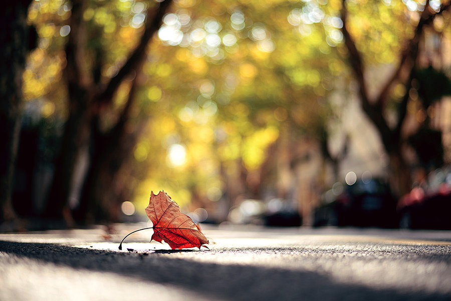 散文：秋天的回忆，不都是中年感伤
