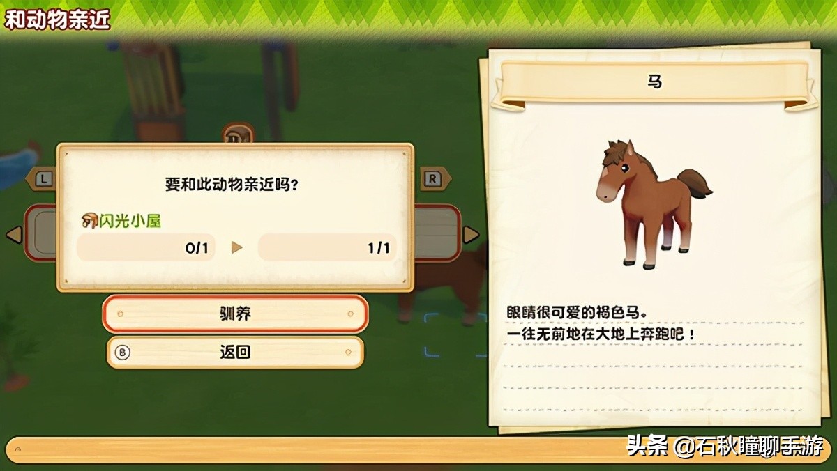 《牧场物语 橄榄镇与希望的大地》第一年夏攻略：印钞机启动