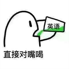 手机翻译竟如此简单！揭秘快速英汉互译的实用小技巧，轻松搞定日常交流。