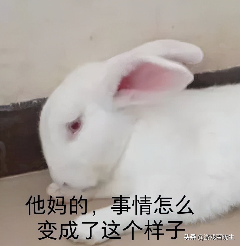 我在steam上花了二十来块，淘到了一款硬核射击游戏
