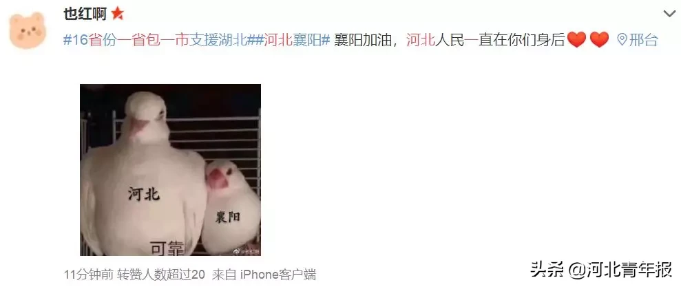 2月9日·河北要闻及抗击肺炎快报