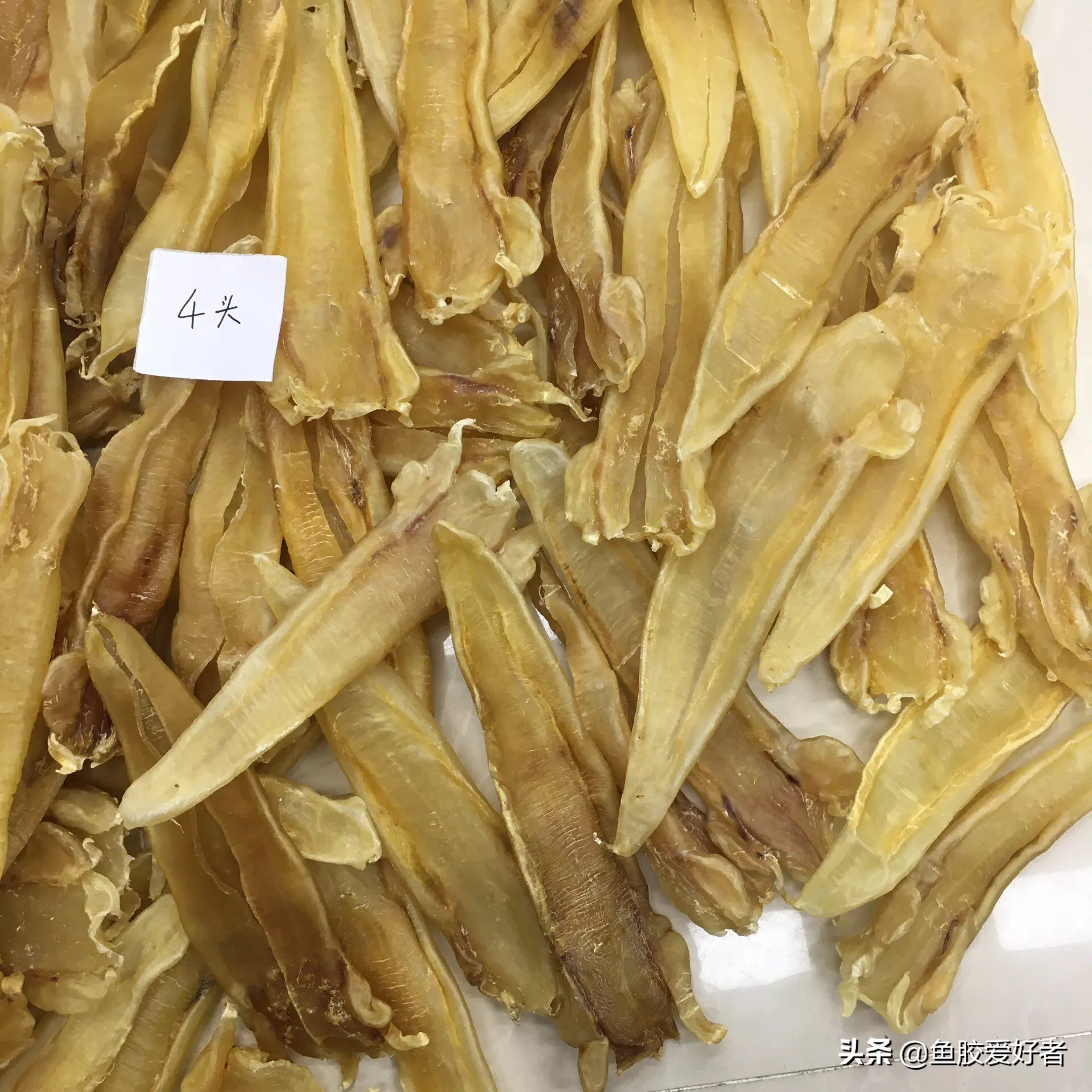 北海胶:近年来花胶界的新宠,今年最火的鱼胶之一,值得我们选吗