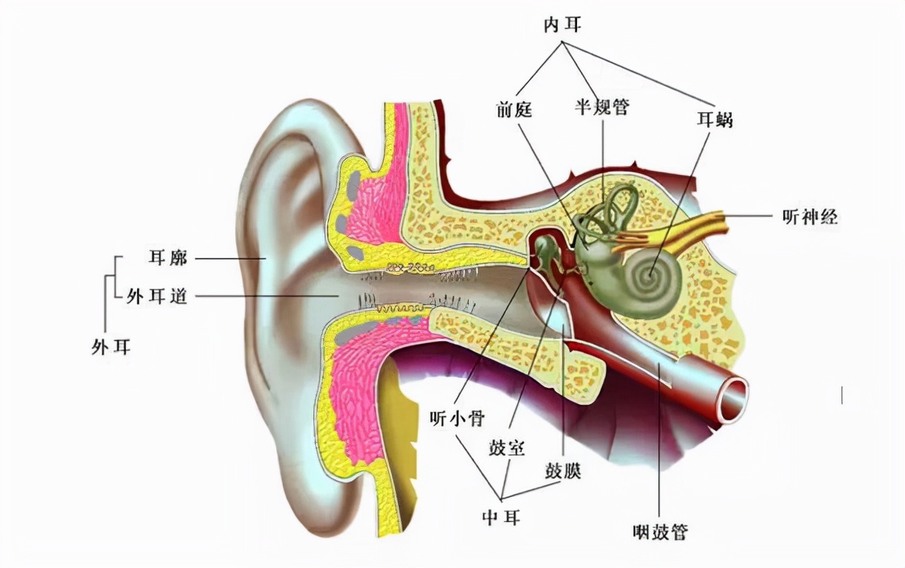 人造重力很难吗？解决宇航员站不起来，为什么空间站不模拟重力？