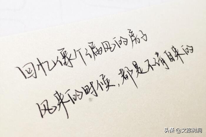 手写青春，与时光共舞，每一笔都是岁月留下的温柔印记。