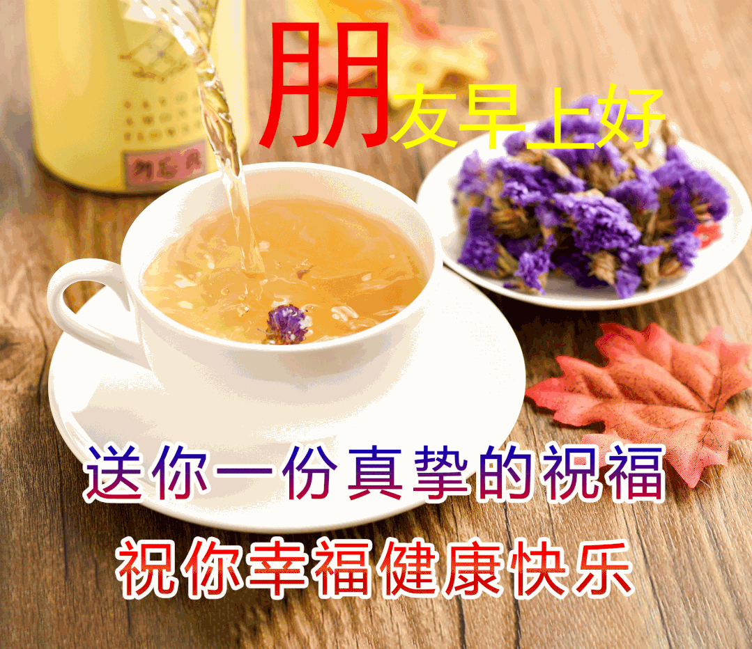 适合发朋友圈的最新早安语录图片