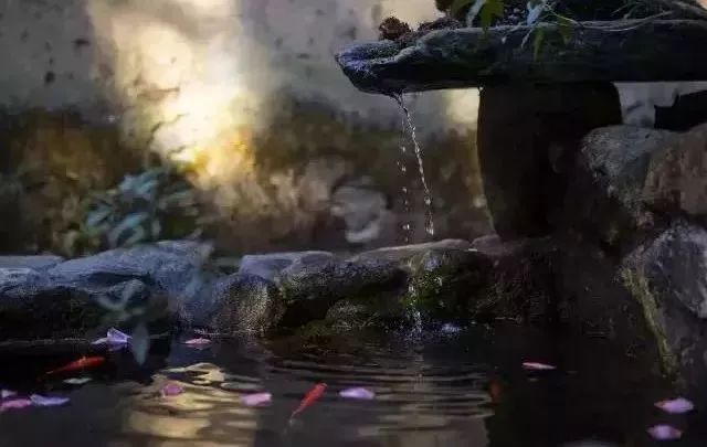 最美的尼姑庵，不烧香只种花，看一眼就想出家