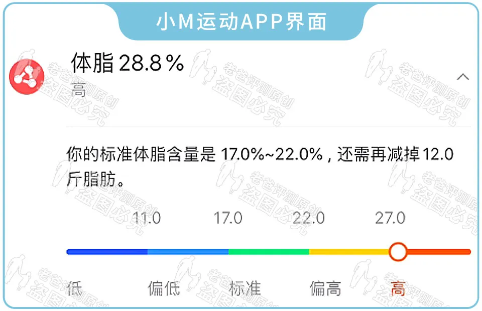 体脂称真的准吗?实测17款热门体脂称,得出了扎心的结论