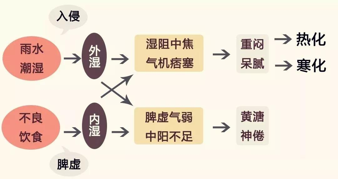 腹泻不止，多因体内湿气淤积，脾胃虚弱！一个方法让你摆脱腹泻