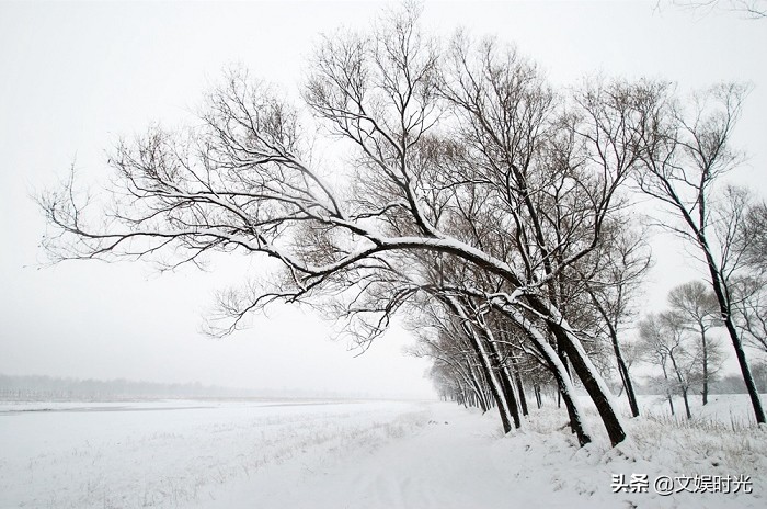 七言律诗的平仄格式有几种?
