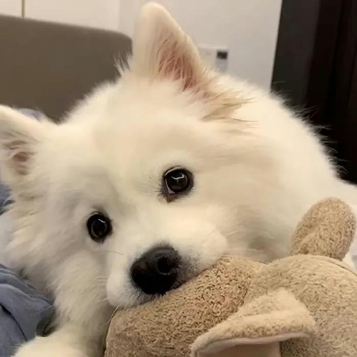 双十一,单身狗子头像自拍,治愈系笑容