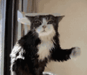 深度剖析孩子吃进肚里的烤肠：肥油、细菌、添加剂、致癌物……