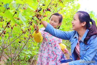 中山市景点排名，中山市哪里好玩的景点，你和网友说了算