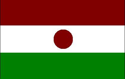 帕劳国旗(世界旗观|哪个国家的国旗最能代表"太阳系"?