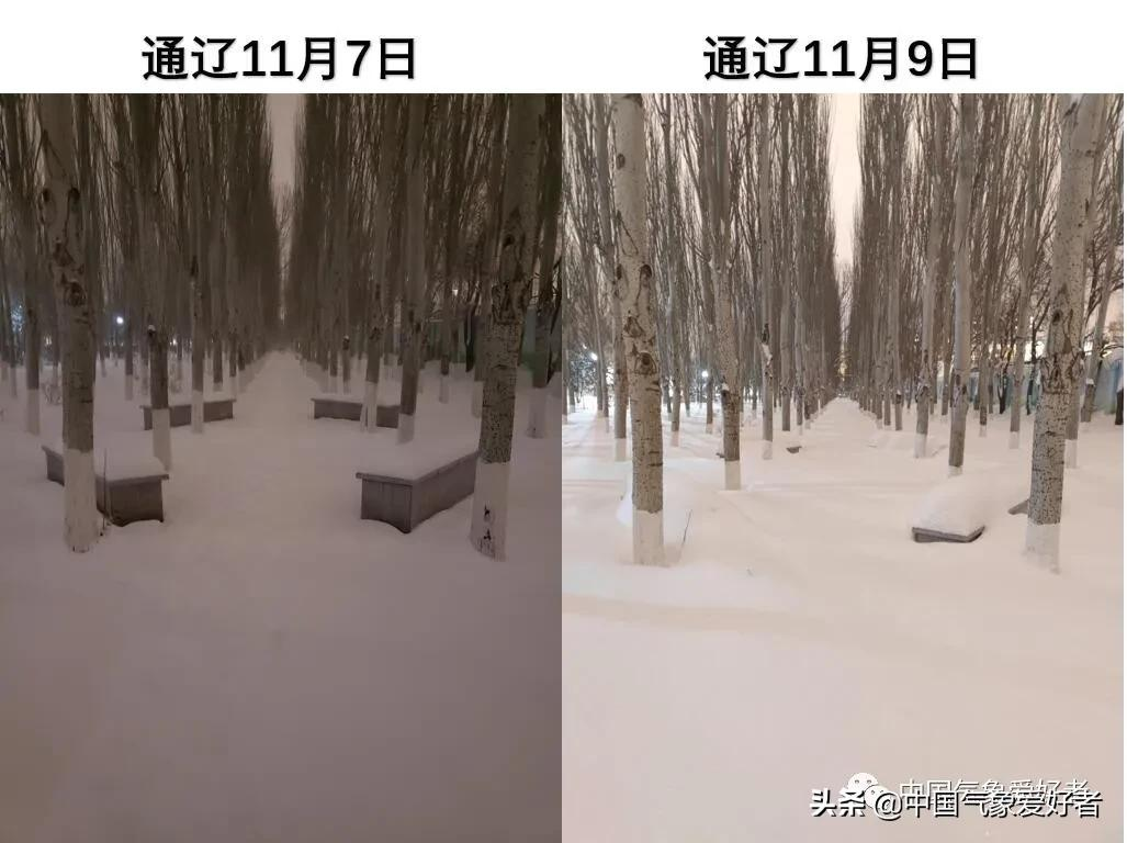 百年未遇!襲擊東北的這場特大暴風雪,到底極端到了什么程度