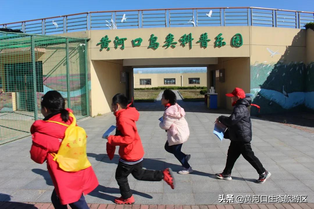 【黄河口生态旅游区】冬日暖阳 静享时光