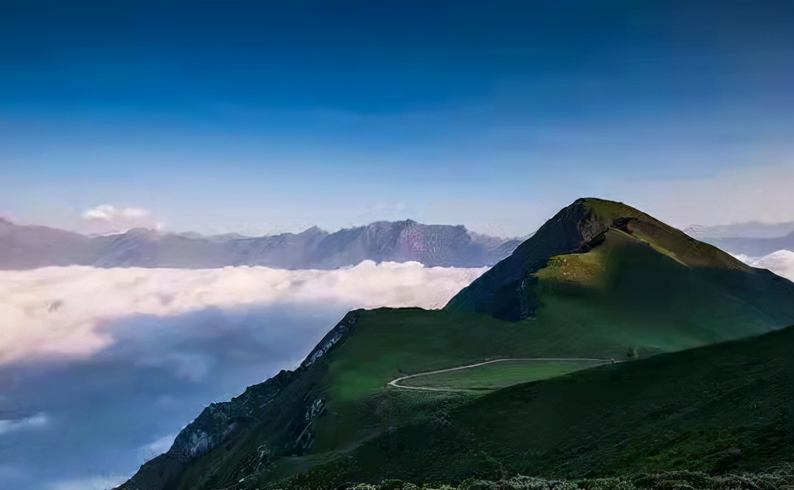 “鸡冠山”熊猫爱的走廊