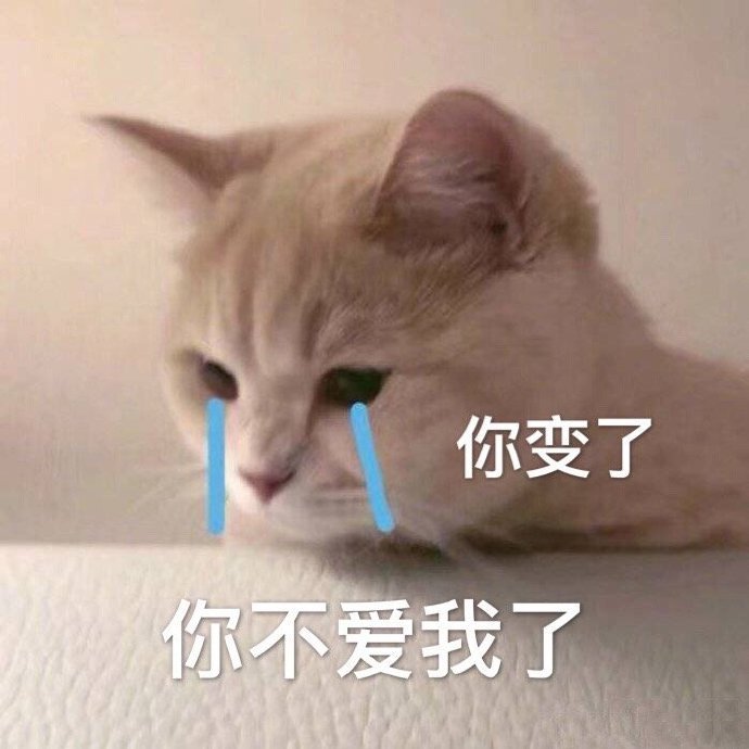 猫生气了表情