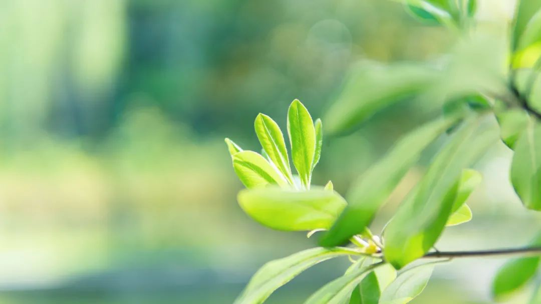 10首唯美《眼儿媚》，你的眼睛里，藏着灿烂星河