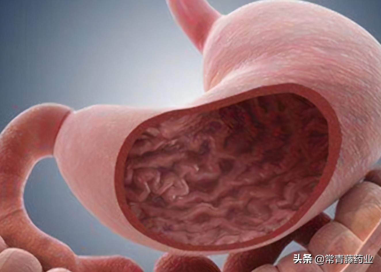 恶心想吐伴随胃痛是什么原因引起的？
