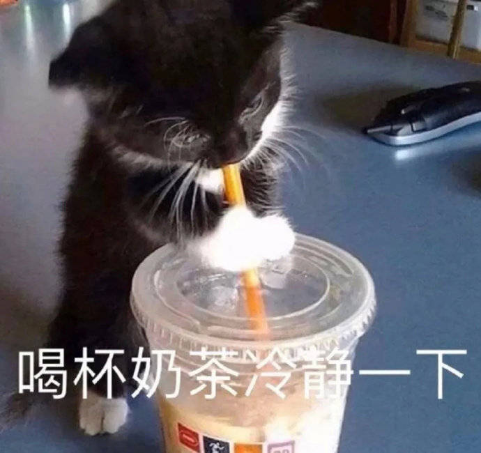 猫生气了表情