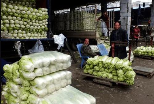 没存款又想创业？来试试这几个闷声发大财的项目，建议收藏