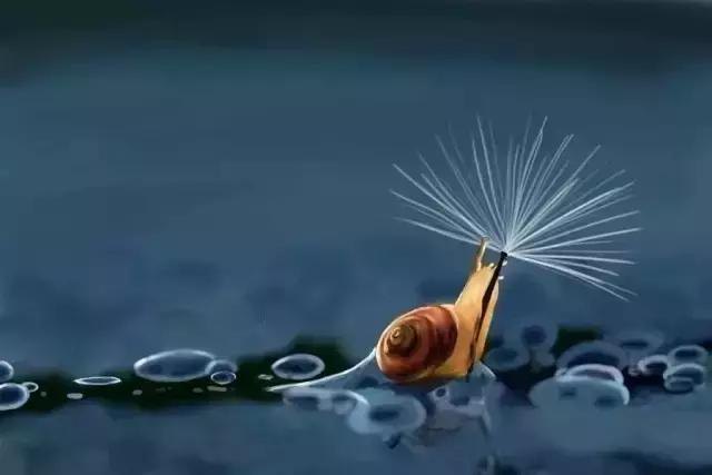 凤凰涅槃，浴火重生！