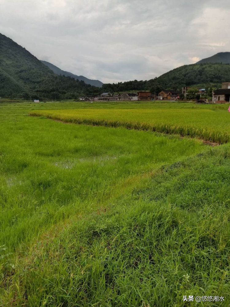 悠悠潇水，兄弟情深