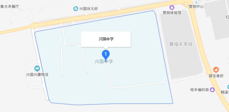 2019年兴国中学高考喜报