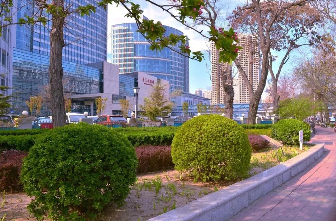 天津总医院，又被点名了