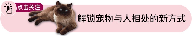 猫咪抓伤自己或主人皮肤破损该如何处理