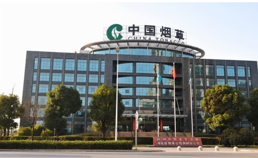 中国烟草网络学院官网（中国烟草大量招聘）