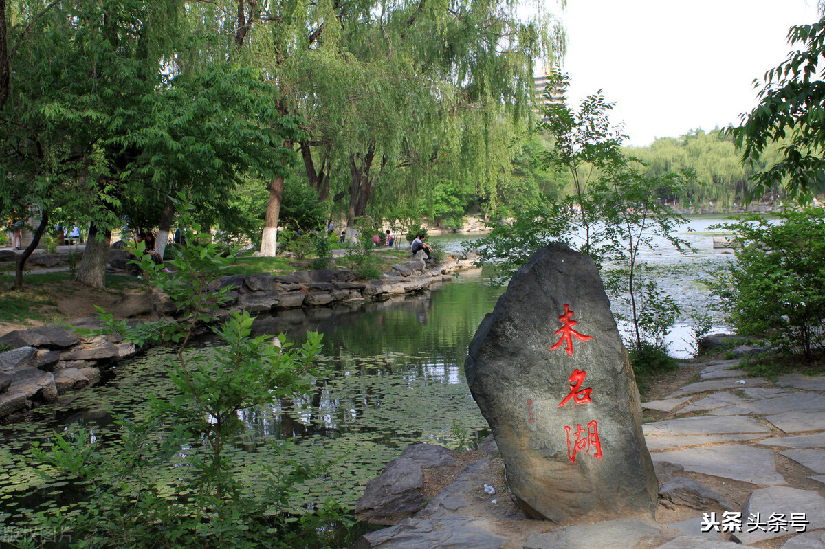 四大直辖市命名的大学，怎么排名？