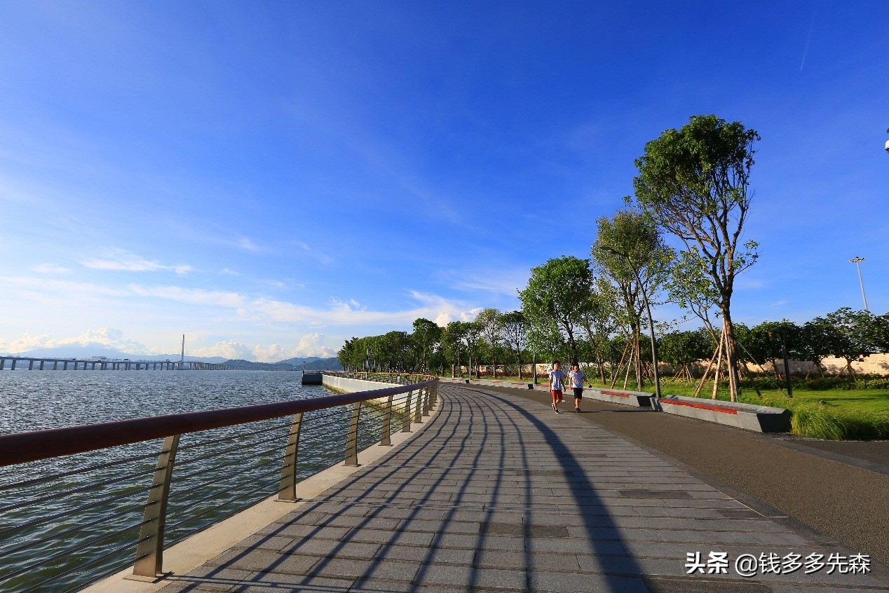 同处在湾区的深圳大学，会成为下一个硅谷的斯坦福吗？