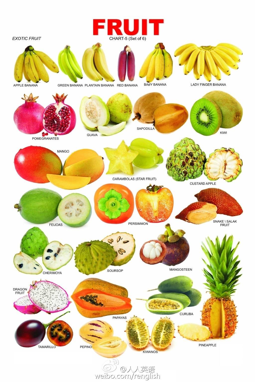 500种水果名称英语(50种常见水果的英语) - 科猫网
