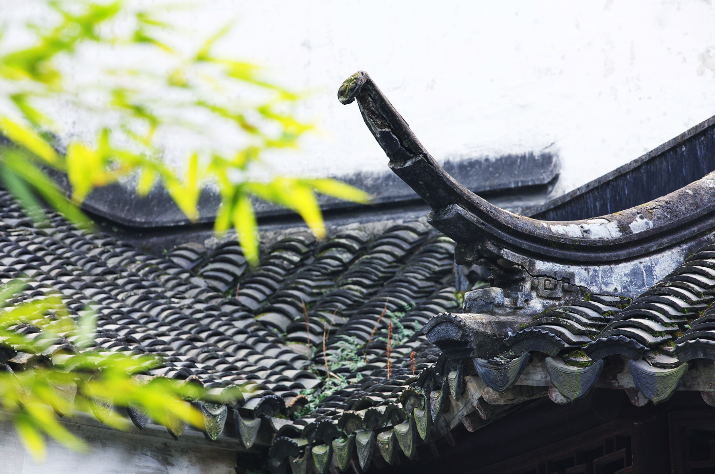 有风景，有摄影，还有爱人相随——我的2021年终盘点