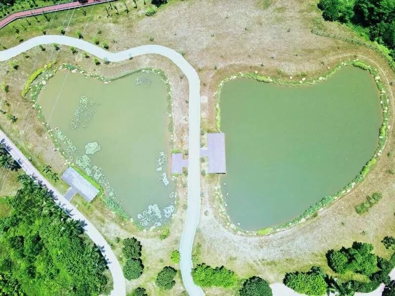 深圳十大免费特色的湖泊公园