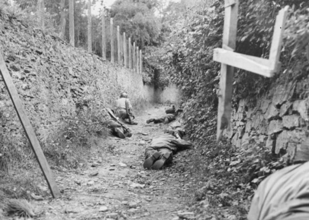 为何法国诺曼底地区，会被盟军称呼为地狱？树篱成了最大阻碍