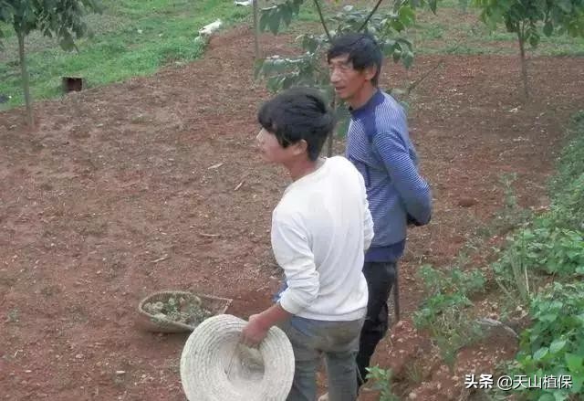 种植枸杞、金银花、天麻和桔梗，用途多销路广，市场供不应求