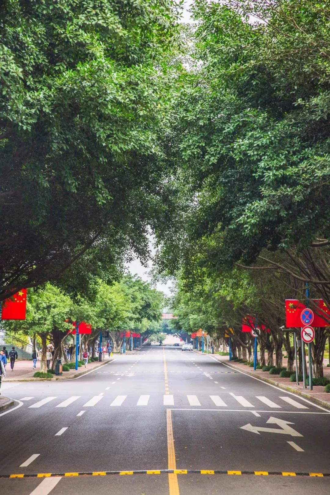 西南政法大学：低调且牛X的法学界的黄埔军校