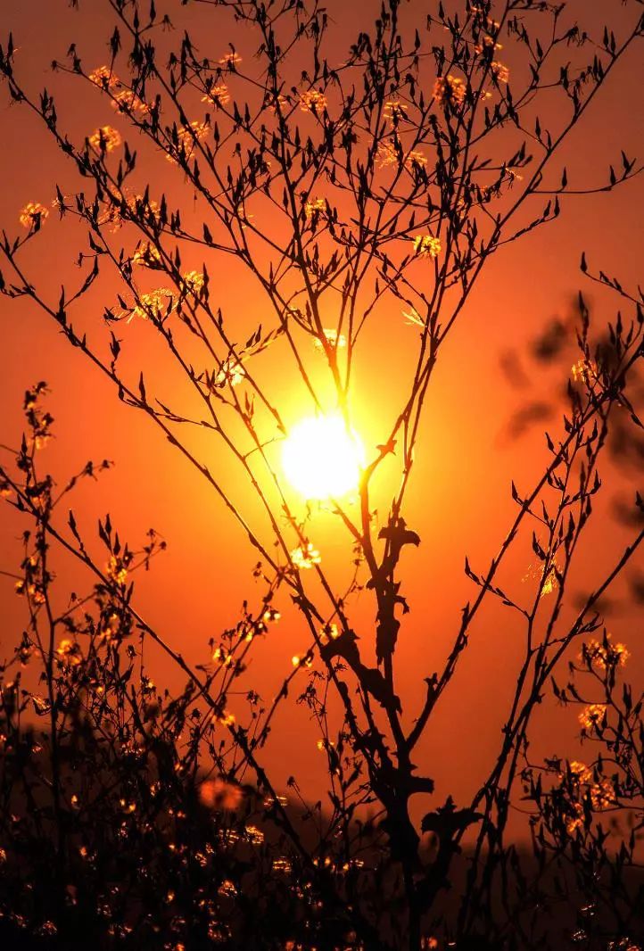 早安心灵鸡汤励志语录 早安励志的说说句子，得福翡翠