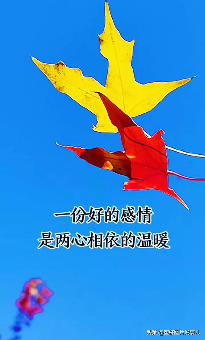 壁纸美图,人生,是认清与看淡,万事,尽心尽力,而后,顺其自然