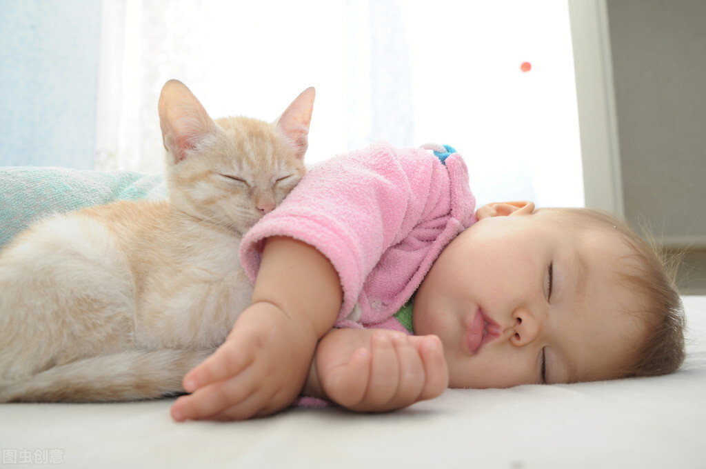 猫咪有几种表现，说明它“依赖”你