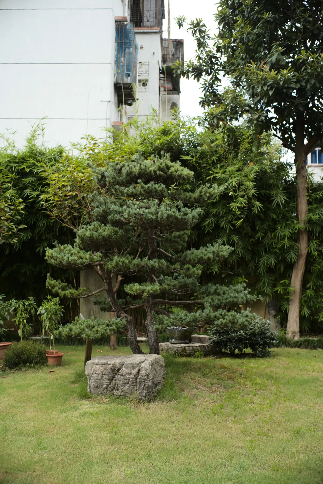别再说什么小京都了,宁波这些寺庙来打脸了