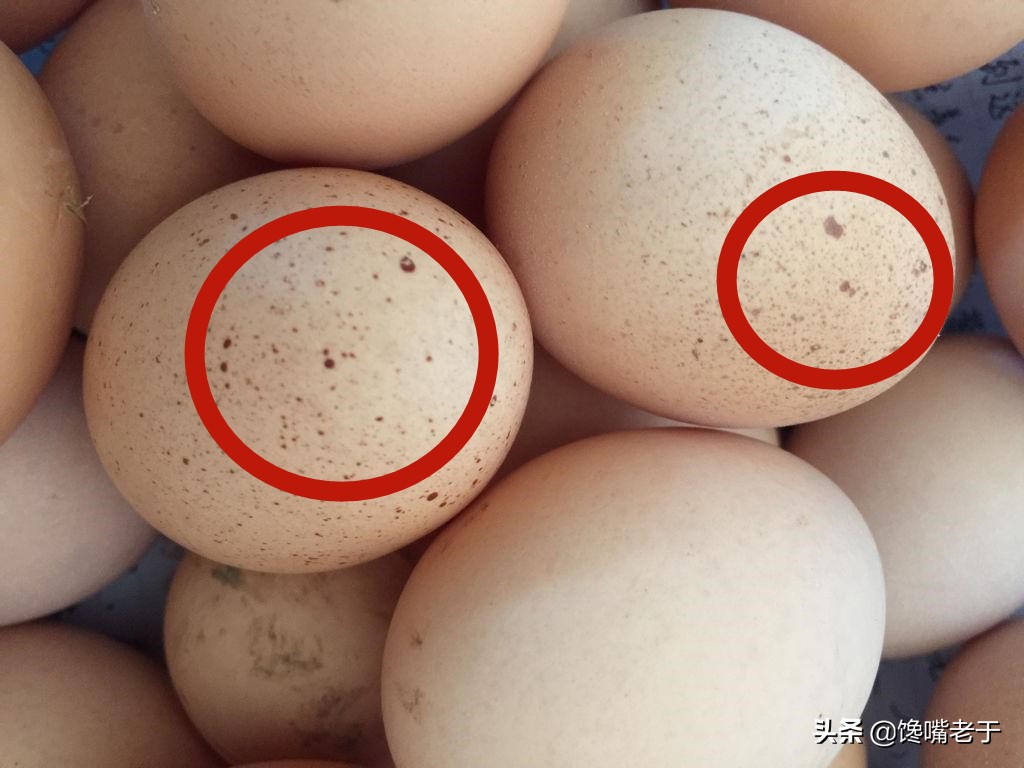 鸡蛋壳上有黑色斑点能吃吗 -生活知识库-动动脑