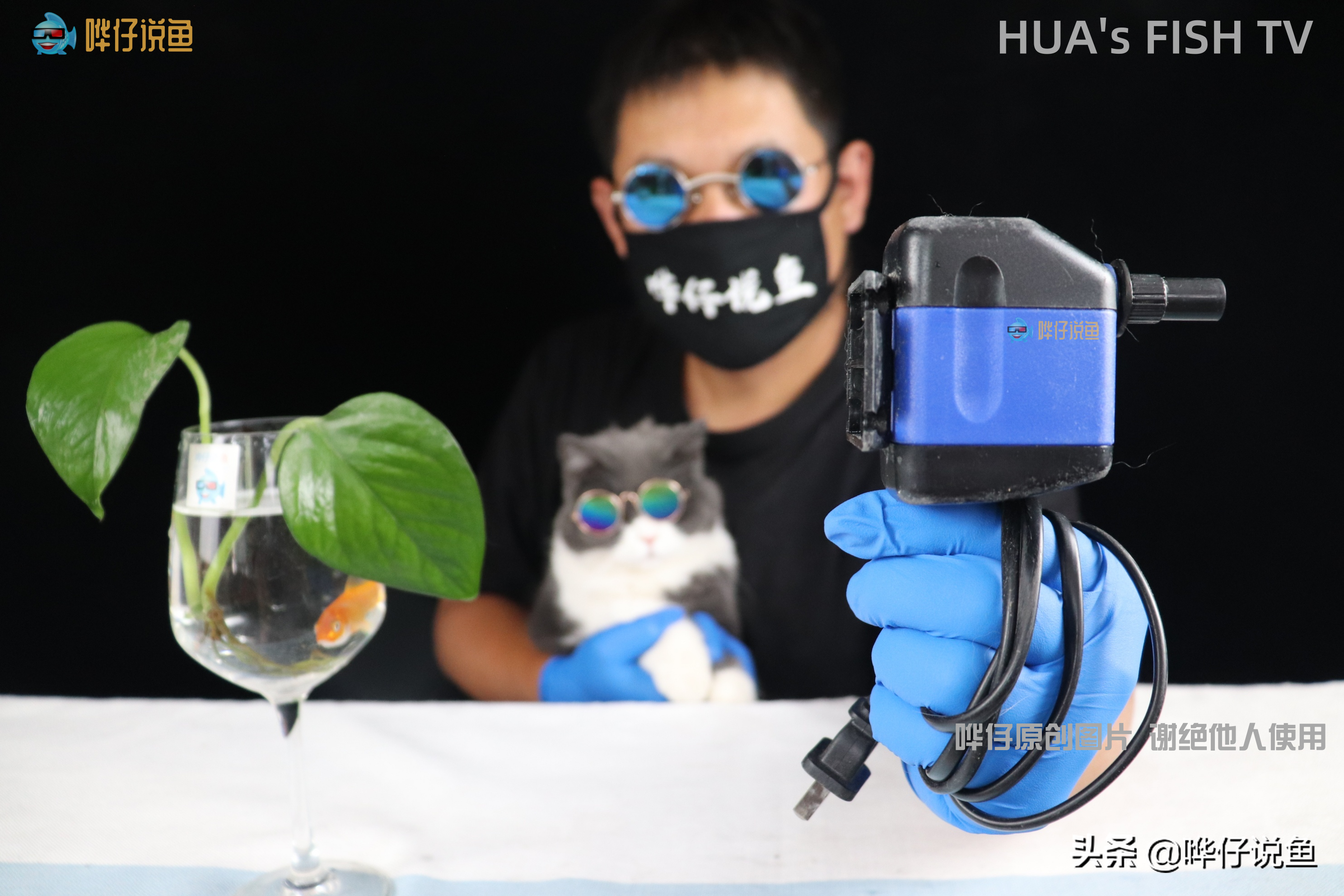 如何让鱼缸里漂浮的脏东西消失？彻底去除没办法，挑战极限有妙招