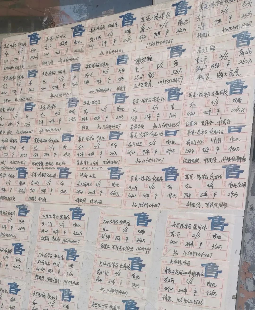 入学新政威力初现｜青岛的学区房，已经进入变盘期