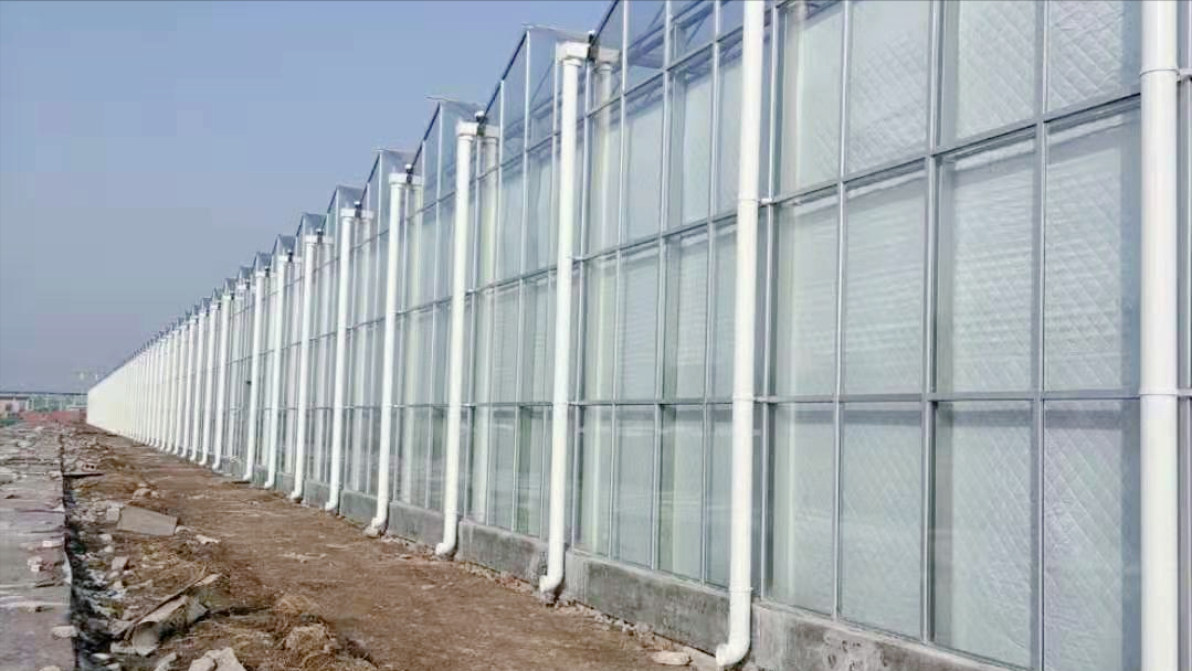 玻璃温室保温增温的那些事——玻璃温室冬季保温增温技术
